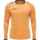 Hummel Core Goal Keeper Set