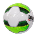 Derbystar Futsal Basic Pro TT