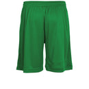 Stanno Field Shorts