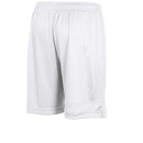 Stanno Field Shorts