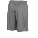 Stanno Field Shorts