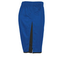 Stanno Altius Shorts