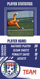 Stats Card for Presentation