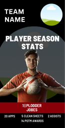 Stats Card for Presentation