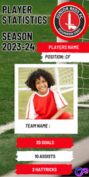 Stats Card for Presentation