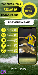 Stats Card for Presentation