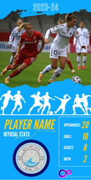 Stats Card for Presentation