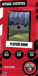 Stats Card for Presentation