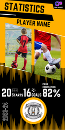 Stats Card for Presentation