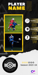 Stats Card for Presentation