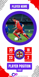 Stats Card for Presentation