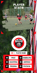 Stats Card for Presentation