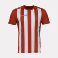 Hummel Stripe Short Sleeve Jersey