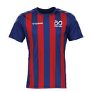 FUTSAL HUMMEL STRIPE JERSEY ADULT