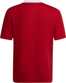 Entrada 22 Jersey Youth