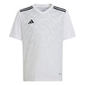 Team Icon Jersey Youth