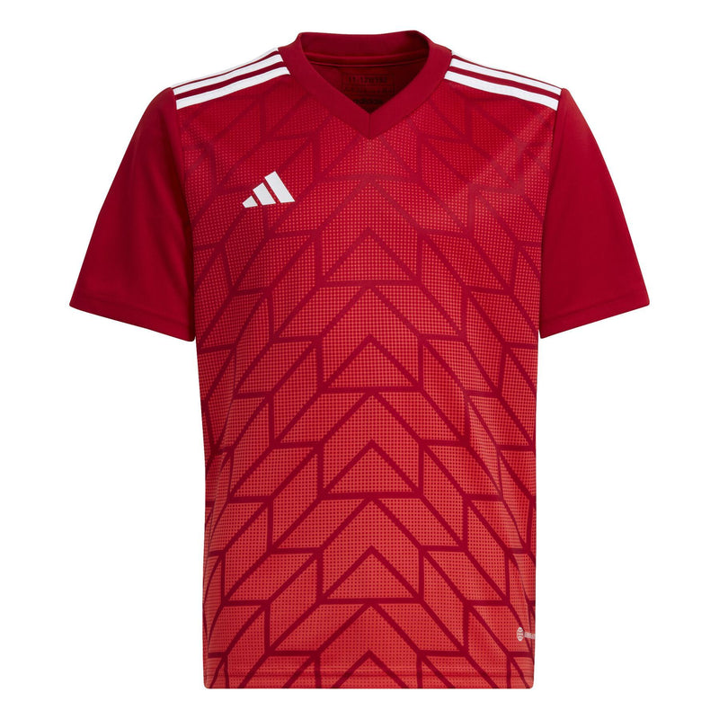 Team Icon Jersey Youth