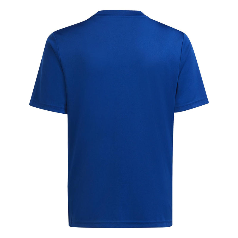 Team Icon Jersey Youth