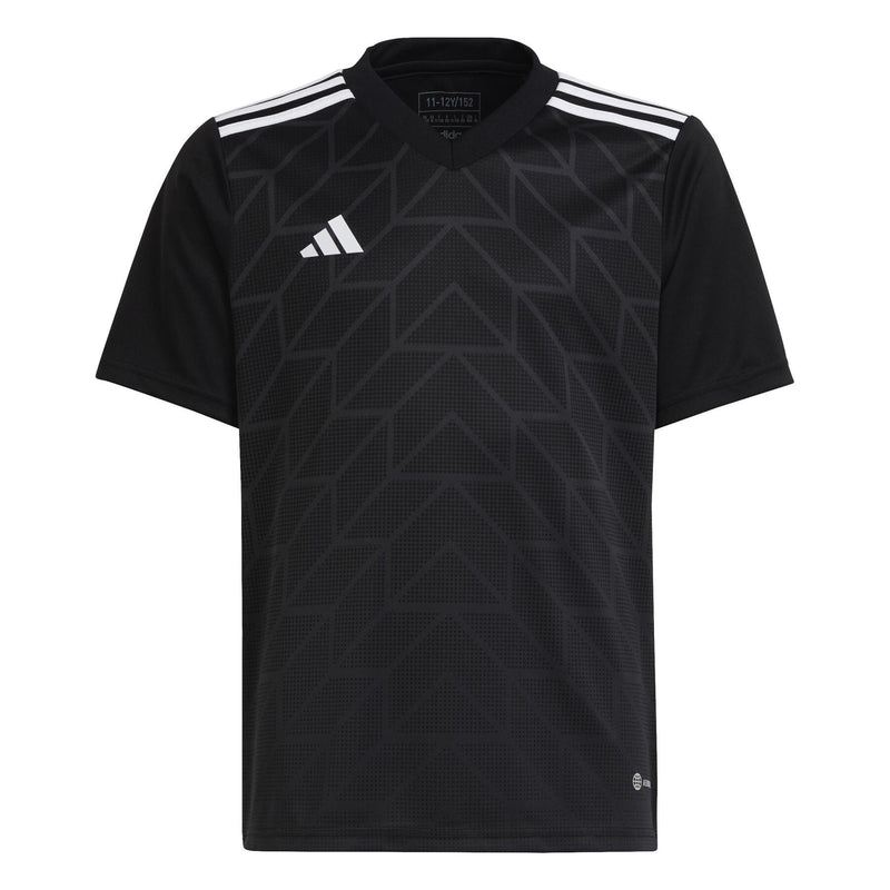 Team Icon Jersey Youth