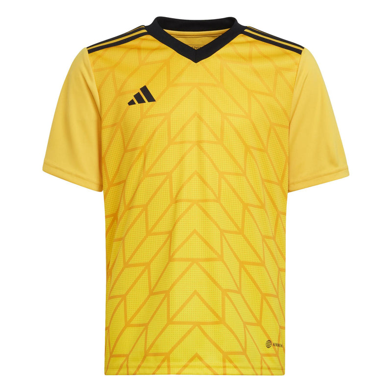 Team Icon Jersey Youth