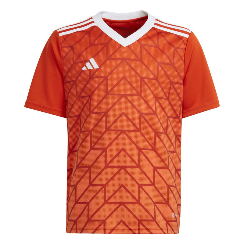Team Icon Jersey Youth