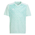 Team Icon Jersey Youth
