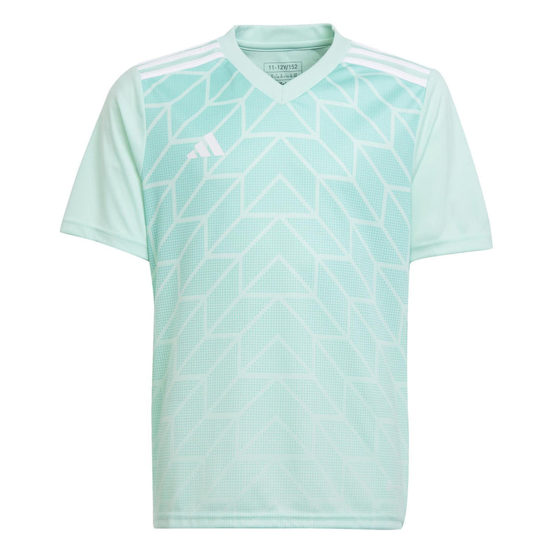 Team Icon Jersey Youth