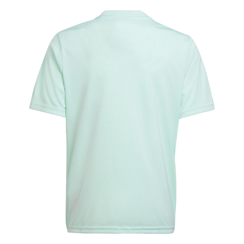 Team Icon Jersey Youth