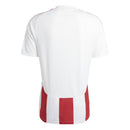 Striped 24 Men's Jersey