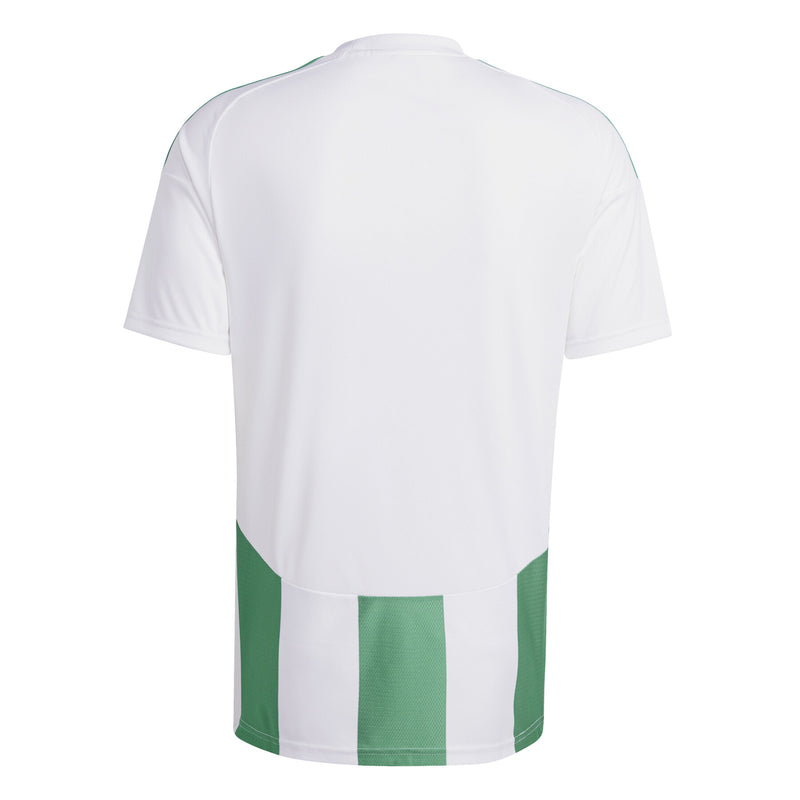 Striped 24 Men's Jersey