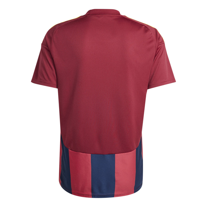 Striped 24 Men's Jersey