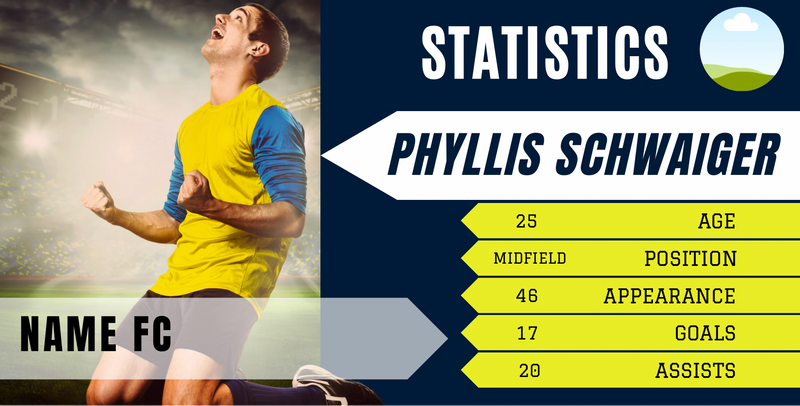 Stats Card for Presentation