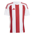 Striped 24 Jersey Youth