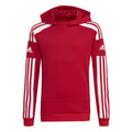Squadra 21 Hoody Youth