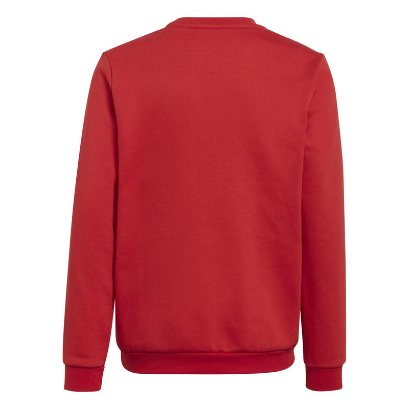 Entrada 22 Tracksuit Top