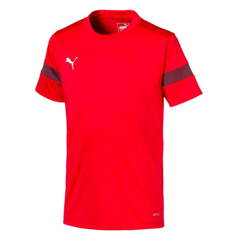 Puma ftblPLAY Training Shirt