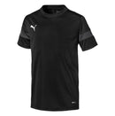 Puma Junior ftblPLAY Training Shirt