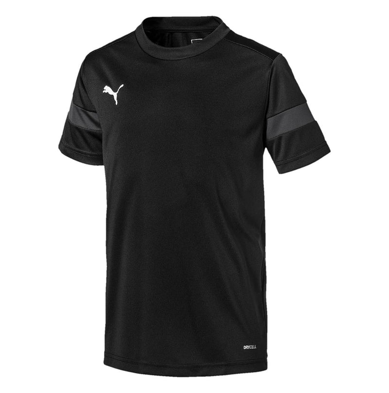 Puma Teen ftblPLAY Training Shirt