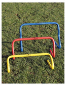 Precision Agility Hurdle