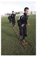 Precision 2 Metre Speed Ladder (Yellow/Black)