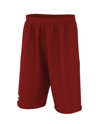 Errea Shorts Dallas 3.0 Adult