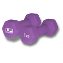 Urban Fitness Hex Dumbbells - Neoprene Covered (Pair)