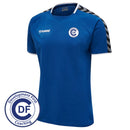 DFC Coaching Hummel Authentic Training Tee - ADULTS
